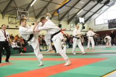 IMG_8580-20130413