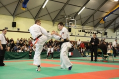 IMG_8593-20130413