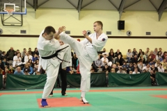 IMG_8602-20130413
