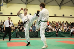 IMG_8620-20130413