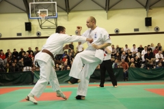 IMG_8671-20130413