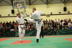 IMG_8674-20130413