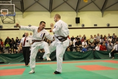 IMG_8676-20130413