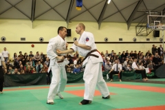 IMG_8677-20130413