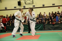 IMG_8709-20130413