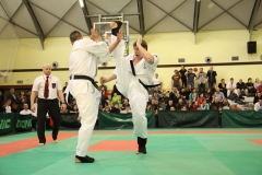 IMG_8730-20130413