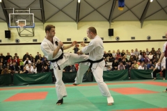 IMG_8738-20130413