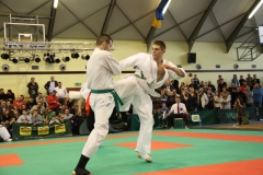 IMG_8776-20130413