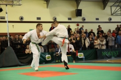 IMG_8800-20130413