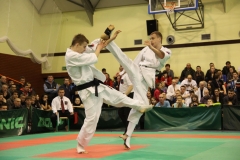 IMG_8824-20130413
