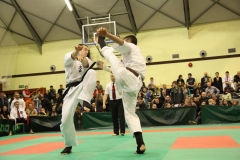 IMG_8843-20130413