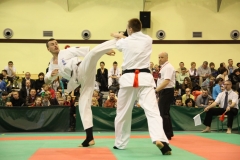 IMG_8846-20130413