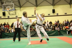 IMG_8874-20130413
