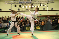 IMG_8944-20130413