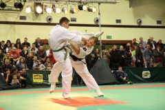 IMG_8993-20130413