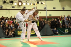 IMG_8995-20130413