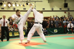 IMG_9033-20130413