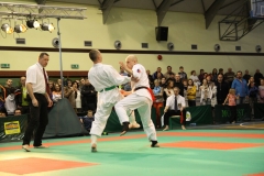 IMG_9074-20130413