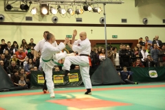 IMG_9080-20130413