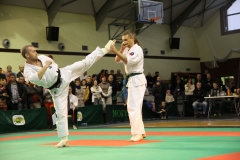 IMG_9084-20130413