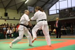 IMG_9108-20130413