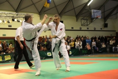 IMG_9114-20130413