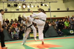 IMG_9123-20130413