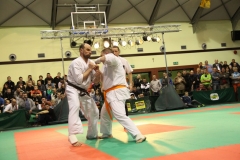 IMG_9135-20130413