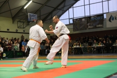 IMG_9165-20130413