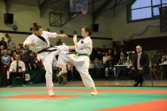 IMG_9198-20130413