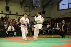 IMG_9204-20130413