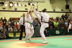 IMG_9205-20130413