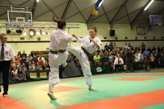 IMG_9212-20130413
