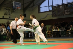 IMG_9222-20130413
