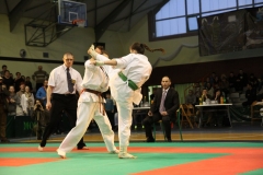 IMG_9224-20130413
