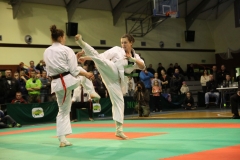 IMG_9230-20130413