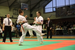 IMG_9247-20130413