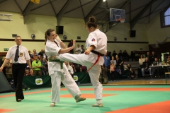 IMG_9249-20130413