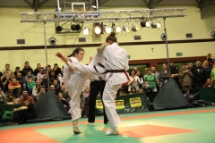 IMG_9262-20130413