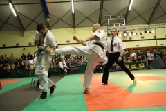 IMG_9331-20130413