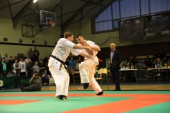 IMG_9389-20130413