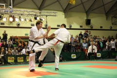 IMG_9409-20130413