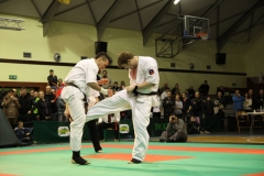 IMG_9465-20130413