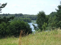 91