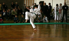 8a